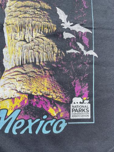 【Carlsbad Caverns National Park】 Souvenir Tee