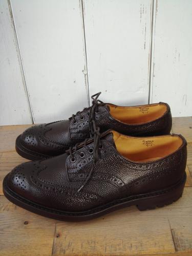 M5633 Brogues (Espresso Scotch Grain)