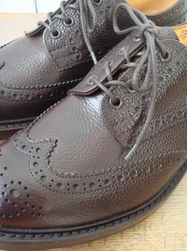 M5633 Brogues (Espresso Scotch Grain)