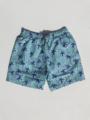 Swim Shorts (Flair Palm Mint)