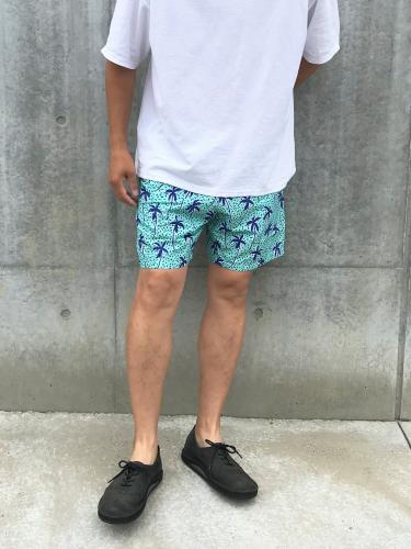 Swim Shorts (Flair Palm Mint)