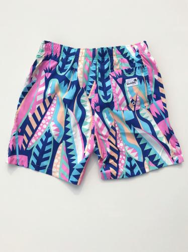 Swim Shorts (On Board)