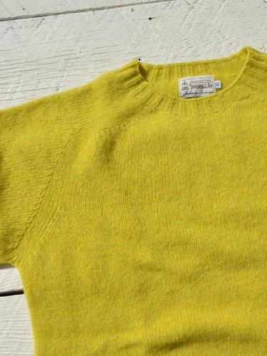 Crew Neck Shetland Sweater  (Pistachio)