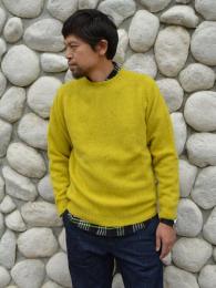 Crew Neck Shetland Sweater  (Pistachio)